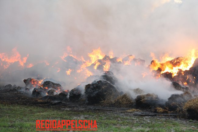 Regio Appelscha